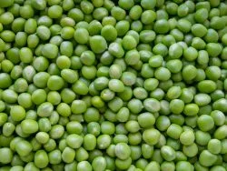 Garden peas