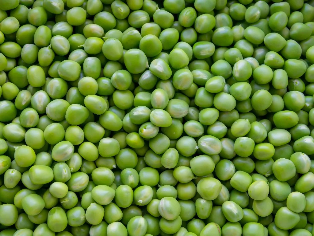Garden peas