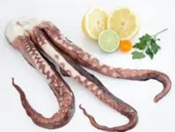 Squid tentacles