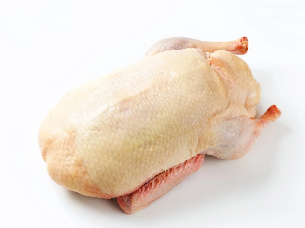 Whole duck