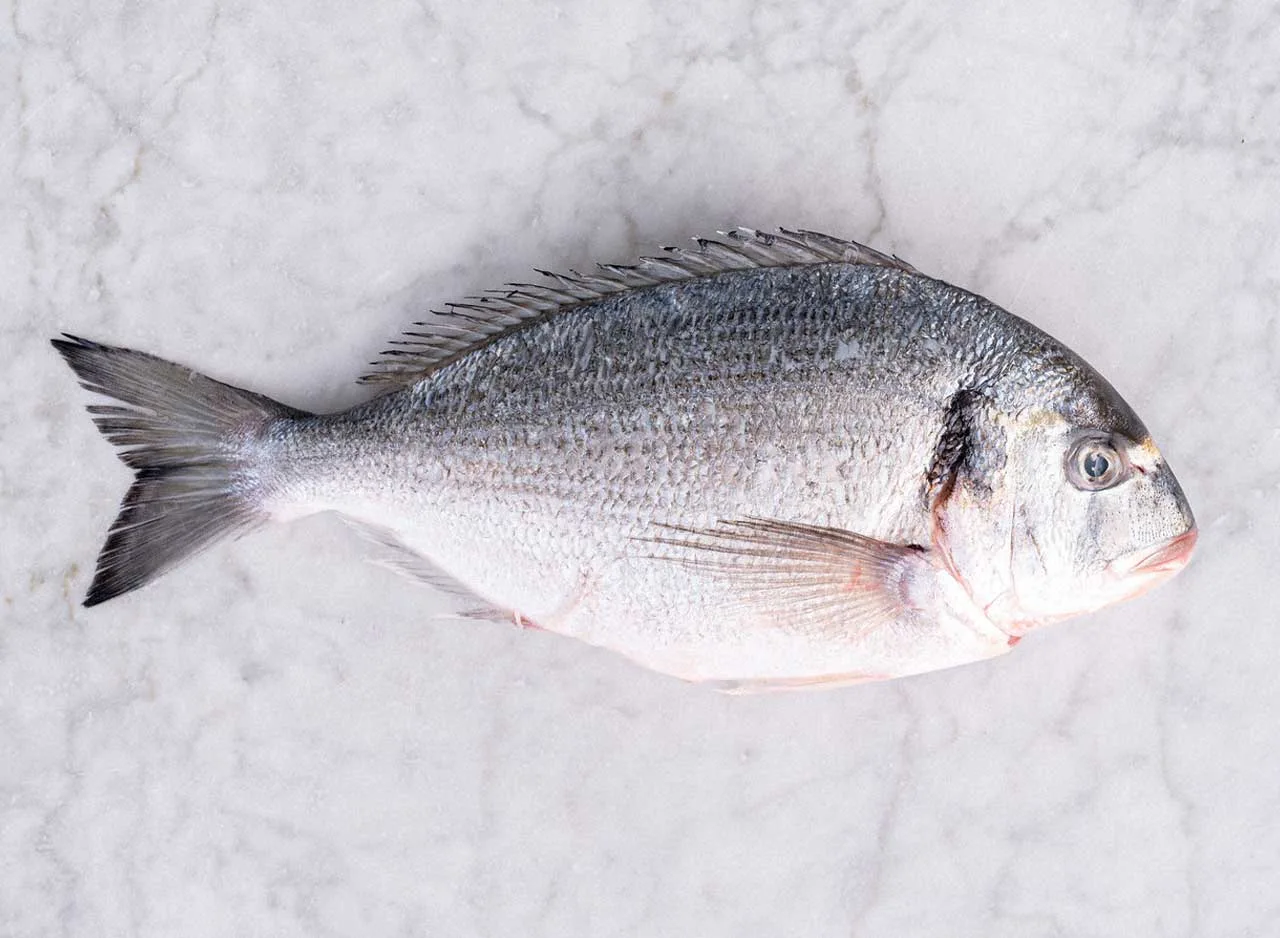 Sea bream