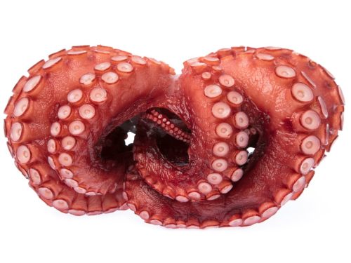 Yialtas - Octopus tentacles
